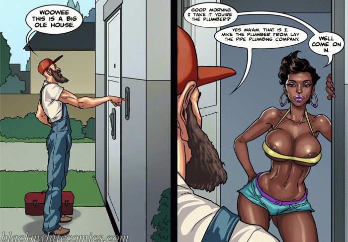 Blacknwhite Interracial Comics Make America Great Again-01